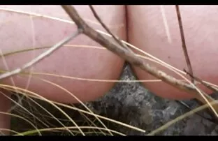 XXX თქვენ განიცდიან კრემიანი ტორტი სექსი, shit წითელი მისი